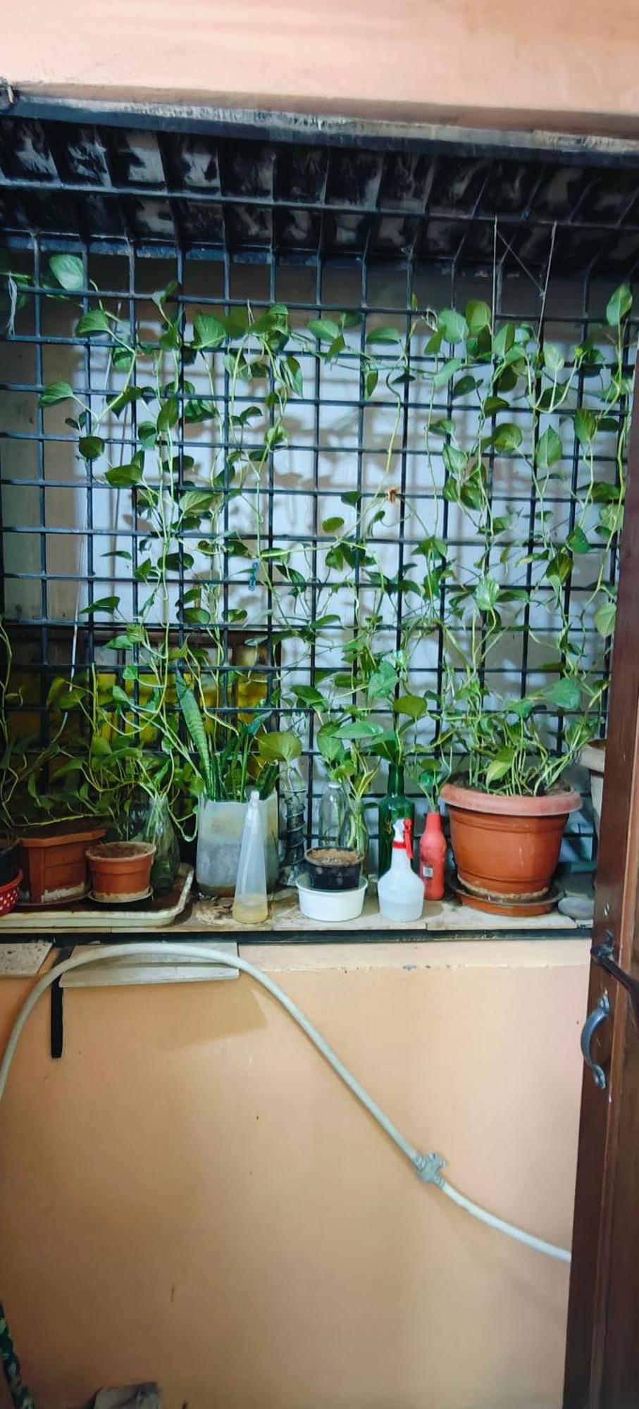 Apartamento Rani'S Nest Hyderabad Exterior foto